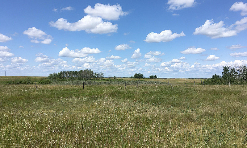 Pasture Land For Sal...