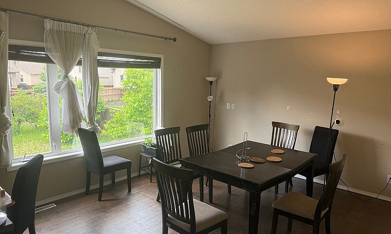 Room Near Uofm...