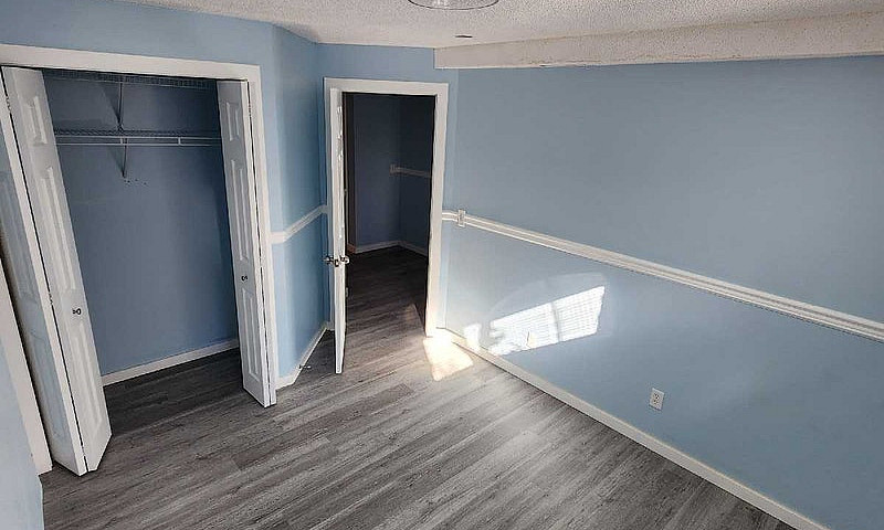 1 Bed/1 Bath Legal S...