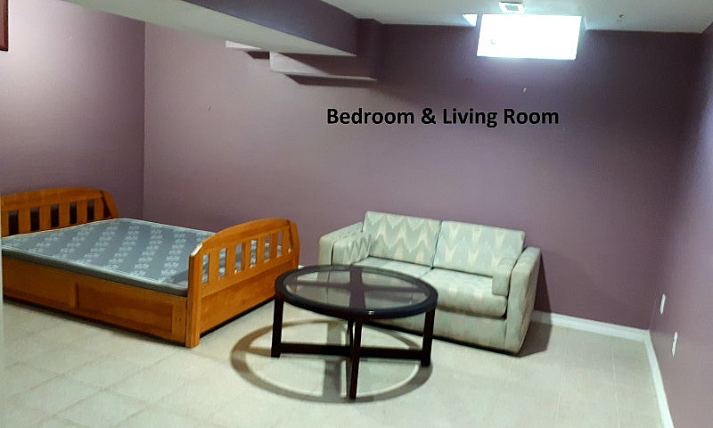 1 Bedroom + 1 Washro...