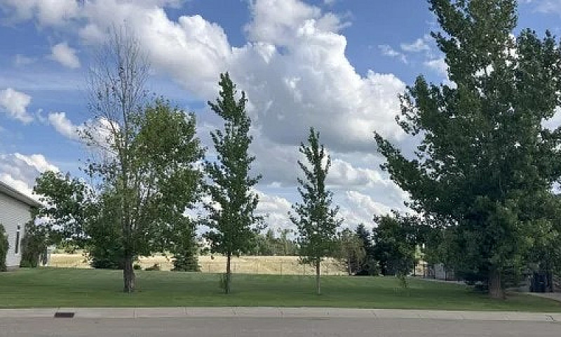 Lot For Sale, Redcli...