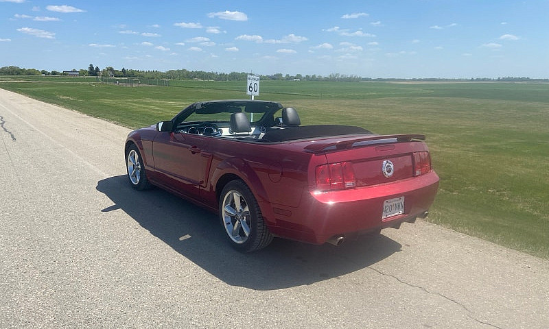 Mustang Gt/Cs Conver...