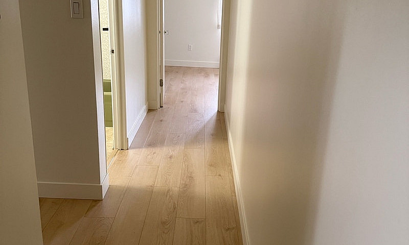 Apartment ...