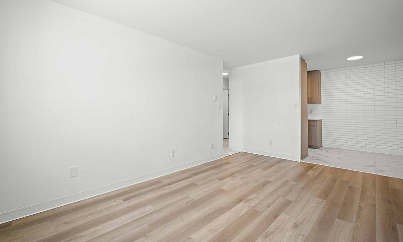 Newly Renovated 1 Be...