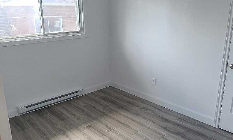 Fully Renovated 4 1/...
