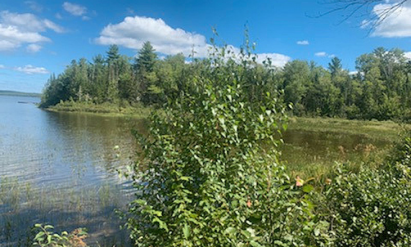 Lake Front Property ...