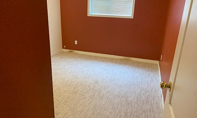 Suite For Rent...