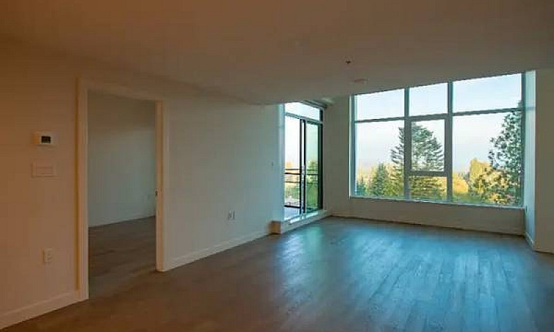 Upmarket White Rock ...