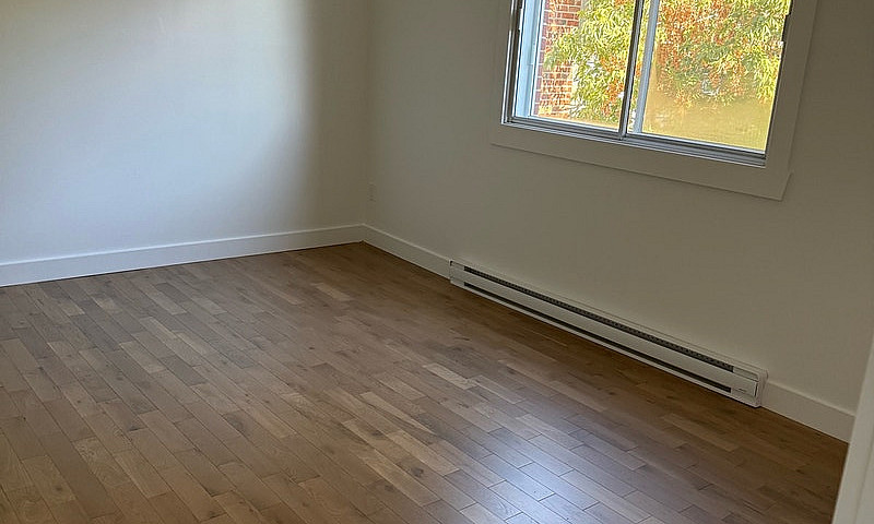 3 1/2 Newly Renovate...