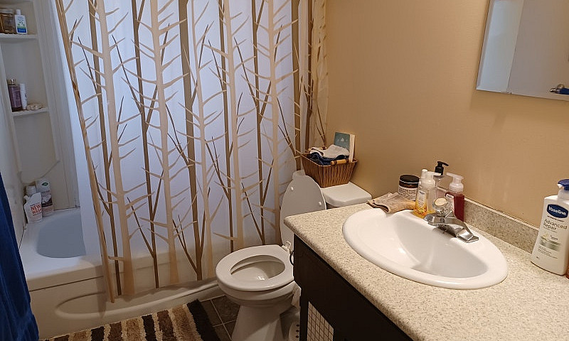 Mainfloor 2 Bdrm Sui...