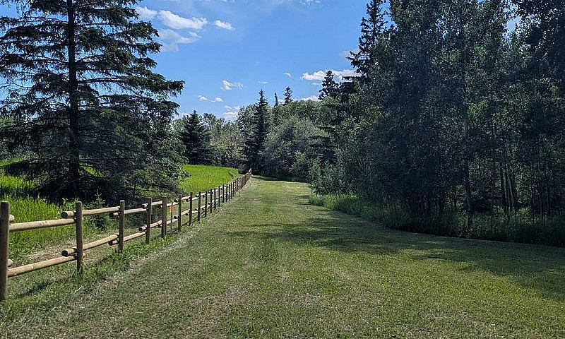 Lake Lot At Fork Lak...