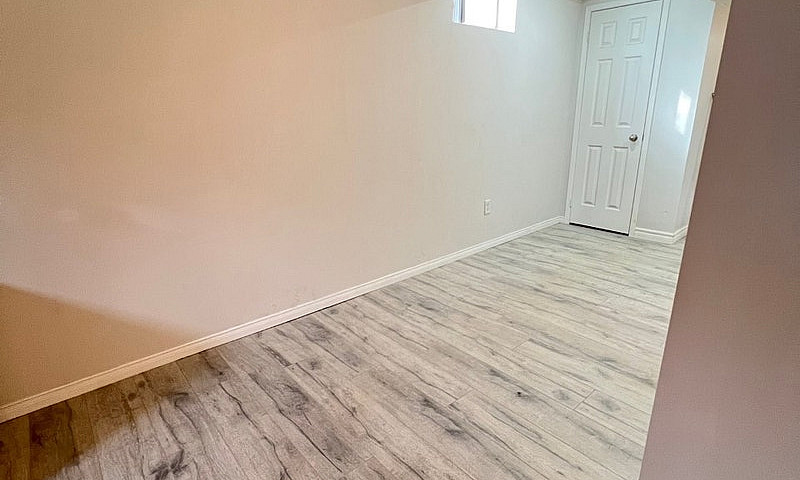1 Bedroom Basement F...
