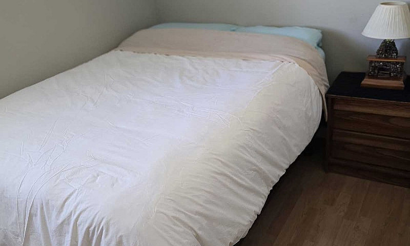 One Room Available I...