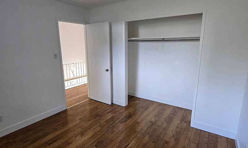 Newly Renovated 3-Be...