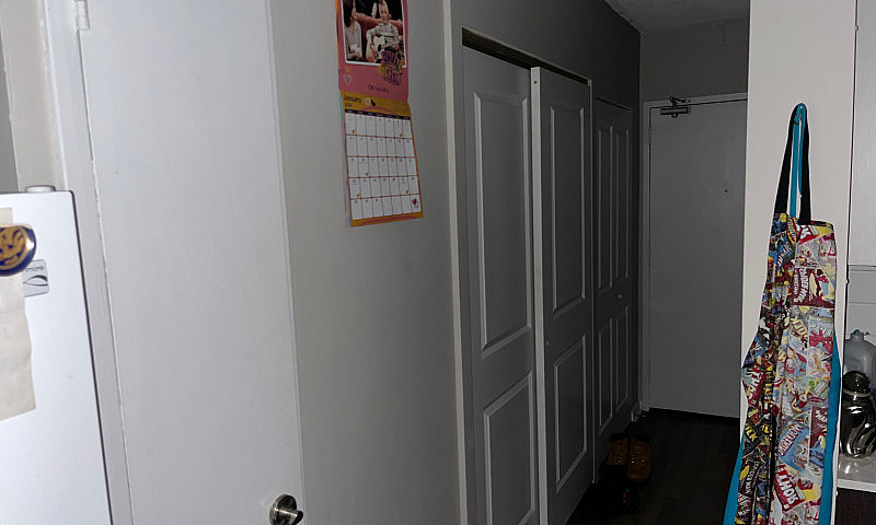 Bachelor  - Sublet W...