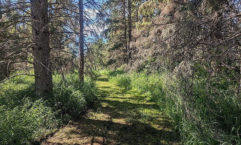 Lake Lot At Fork Lak...
