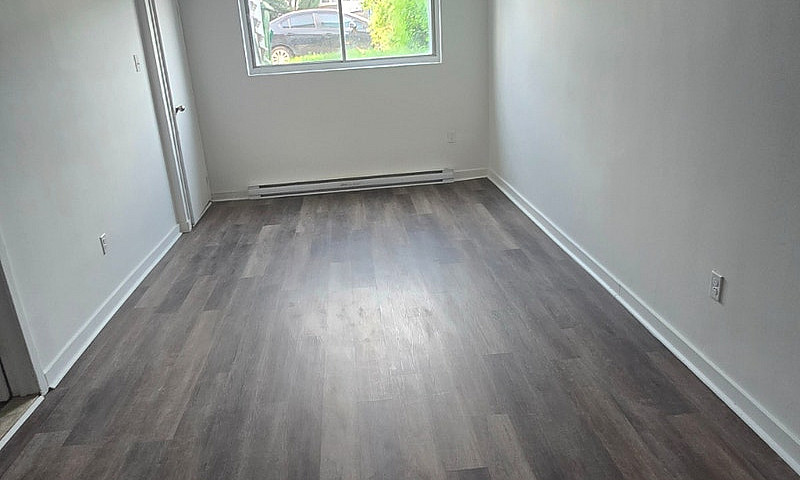 3 1/2 Bachelor Basem...