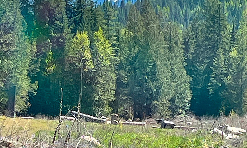 295 Secluded Acres W...