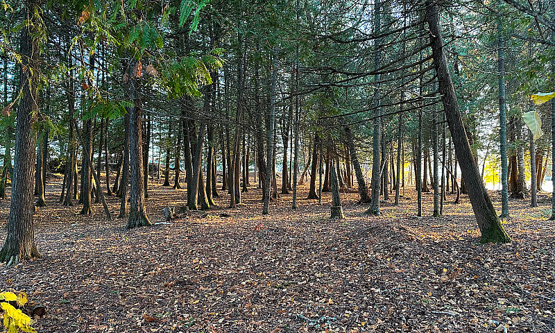 292 Acres, 5Km Water...