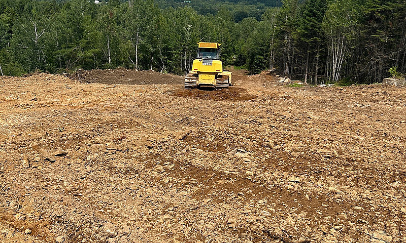 55 Acres Of Paradise...