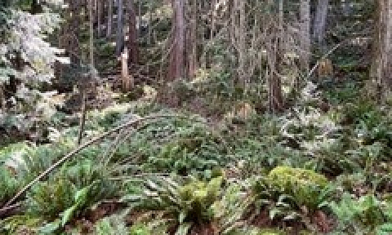 1.34 Acre Building L...
