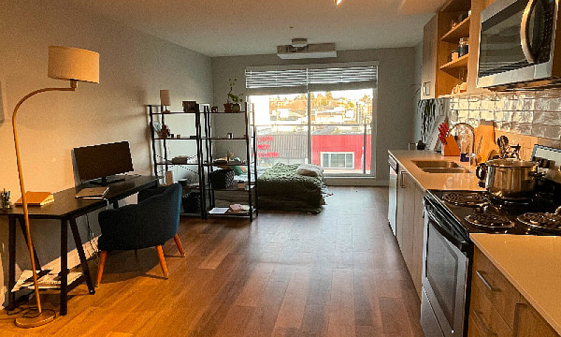 Cat Friendly Studio ...