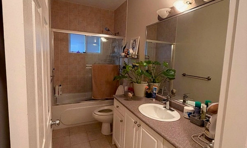 Suite For Rent In Ri...