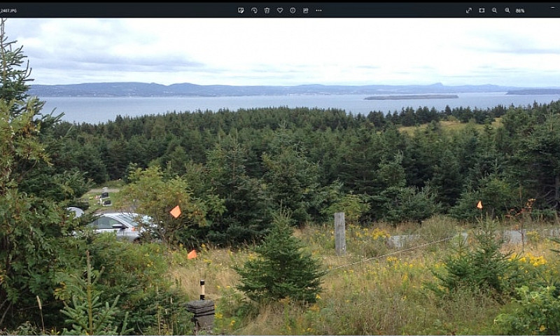 Bell Island Land In ...