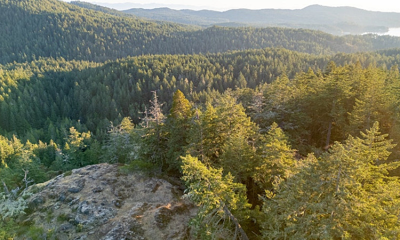 6.25 Acres - Build Y...