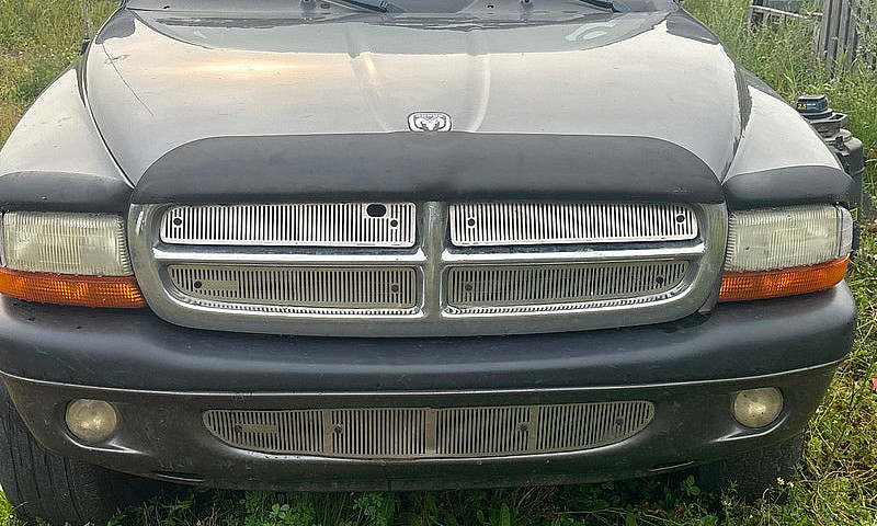 2004 Dodge Dakota Qu...