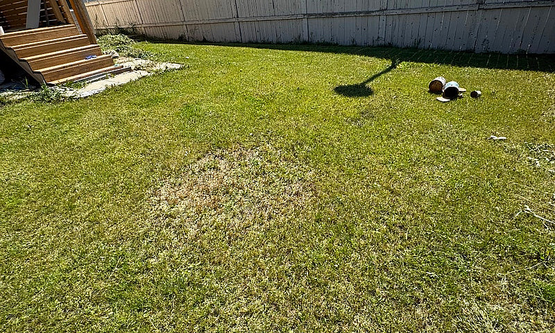 Great Location New B...