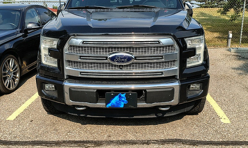 2015 Ford F150 Plati...