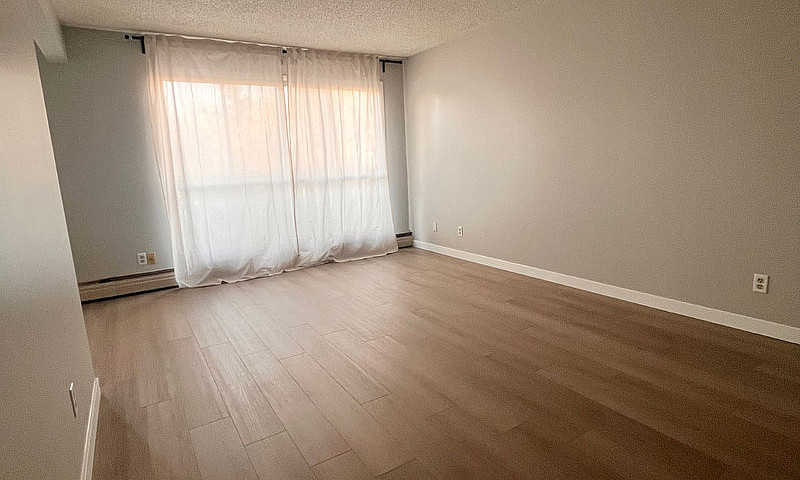 Large Renovated One ...