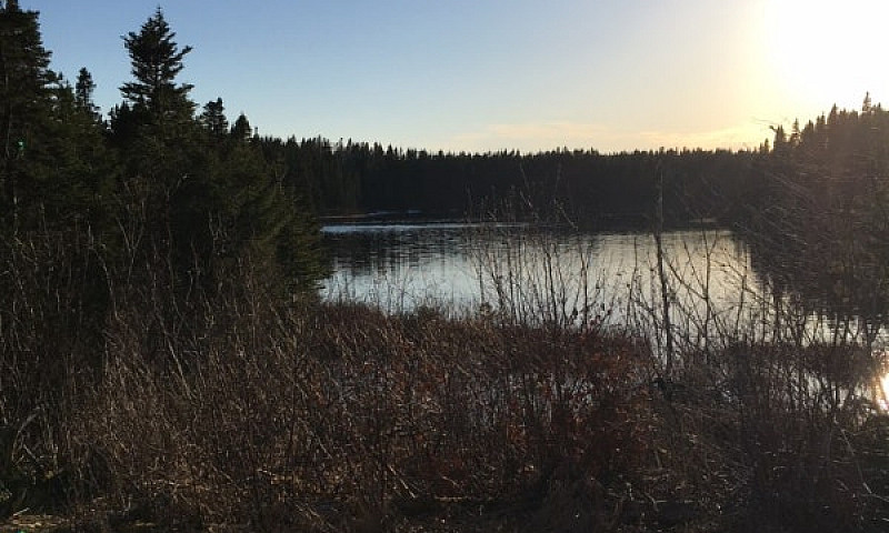Cottage Land/Cabin $...