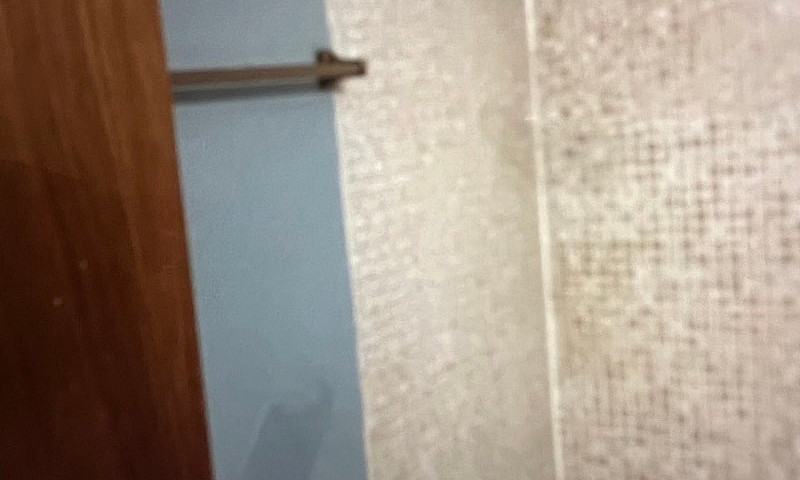 Basement Suite Marlb...