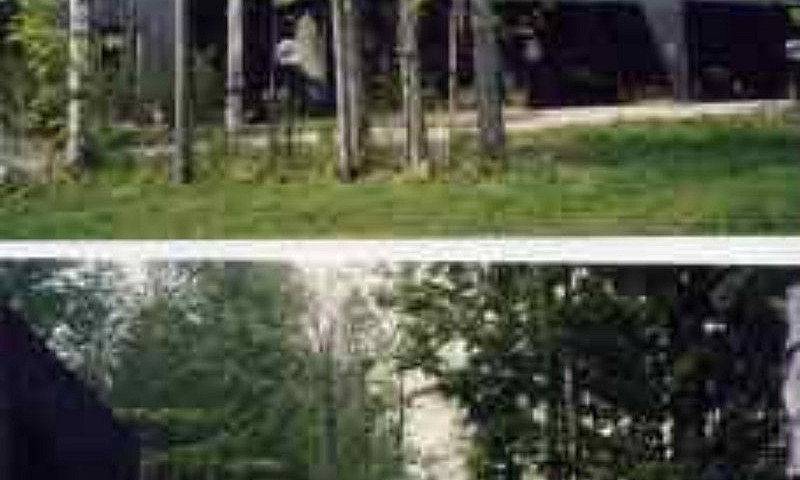 Chelsea 24 Acres Tin...