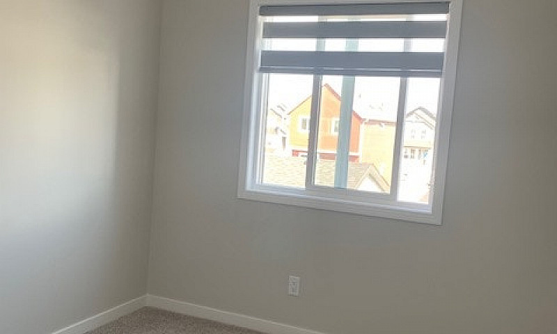 Renting A Brand New ...