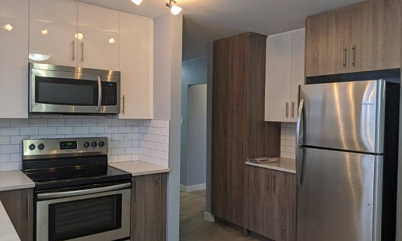 3Bed 1Bathmain Floor...