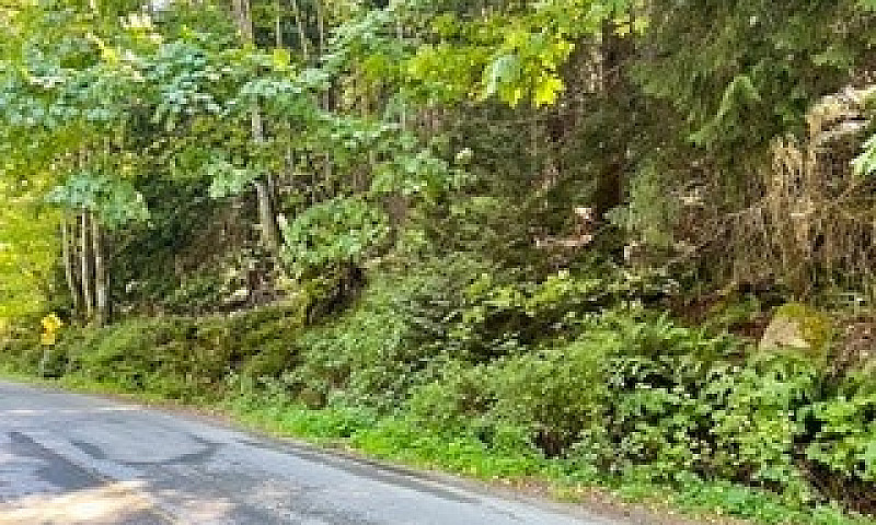 1.34 Acre Building L...