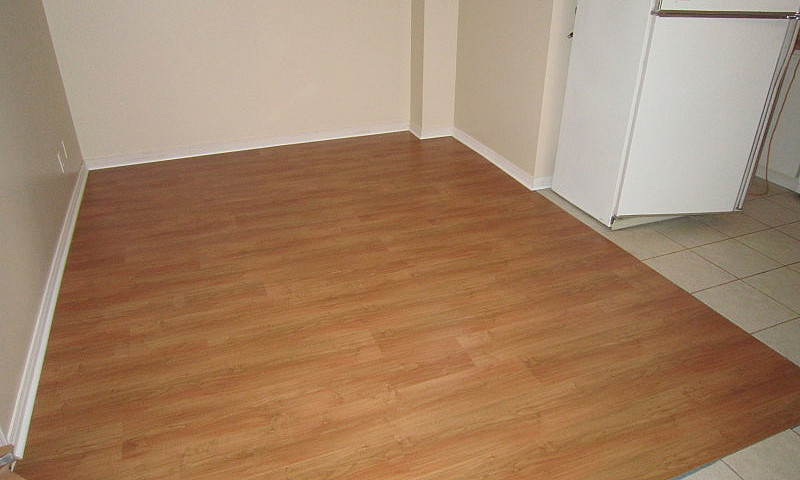 One Bedroom Basement...