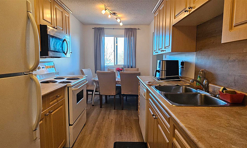 #18, 3809 Luther Pl,...