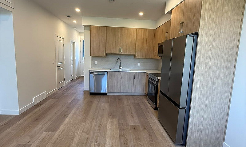 Brand New 4 Bed 3 Ba...