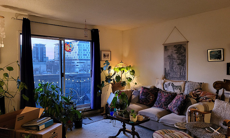 Must See, Top Floor,...