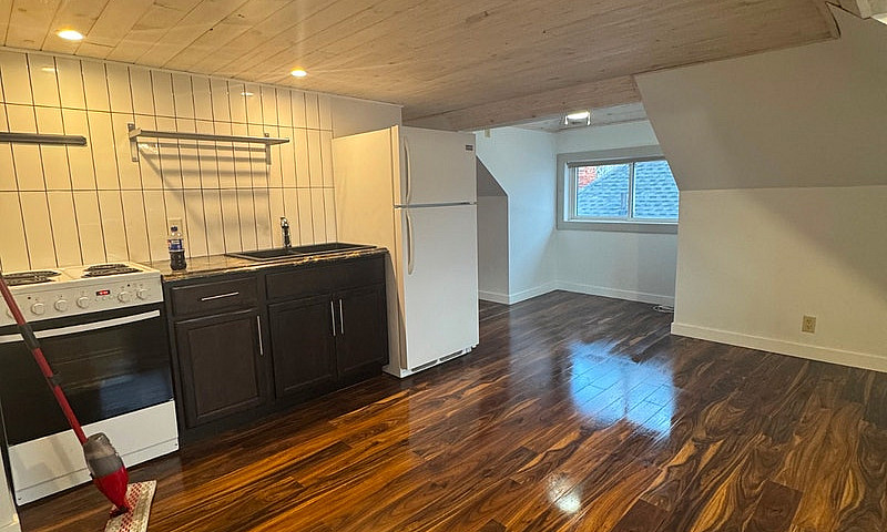 Loft Studio Apartmen...