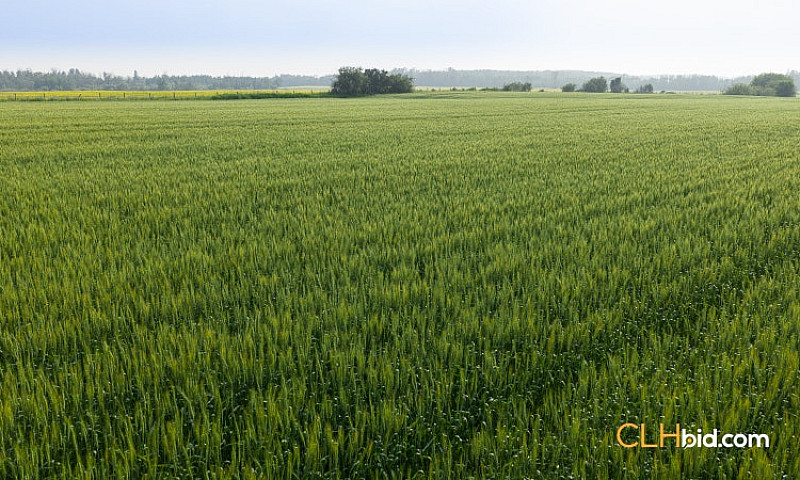 169 Acres Farm Land ...