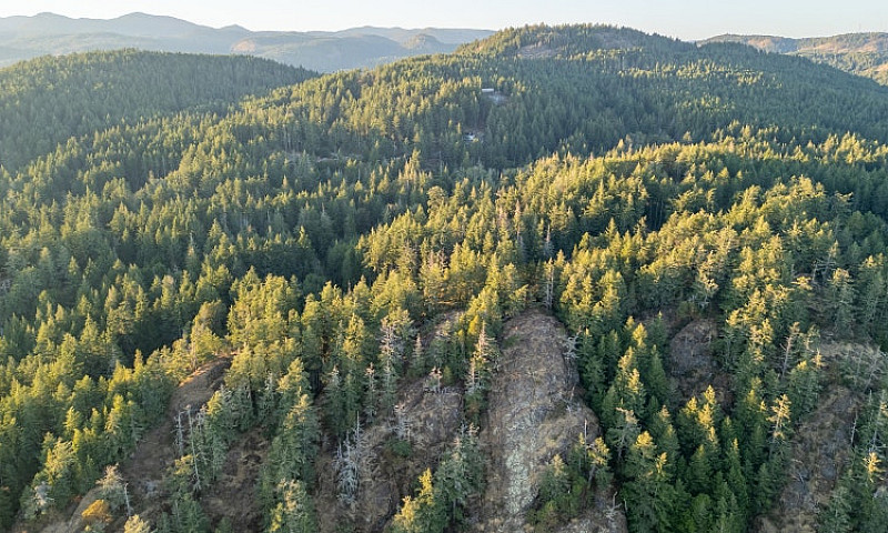 6.25 Acres - Build Y...