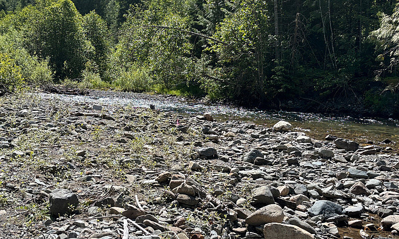  Monashee Gold Claim...