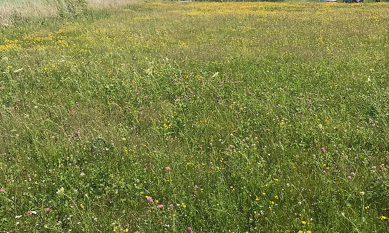 Land For Sale ...