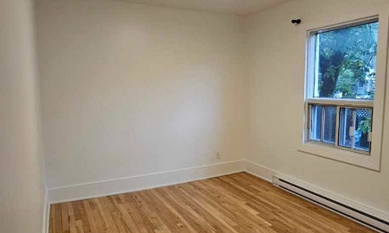 Appartement 4 1/2 + ...