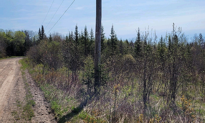 39 Acres With Huntin...